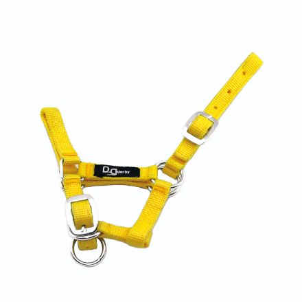 FOAL NYLON HALTER WITH DOUBLE ADJUSTMENT