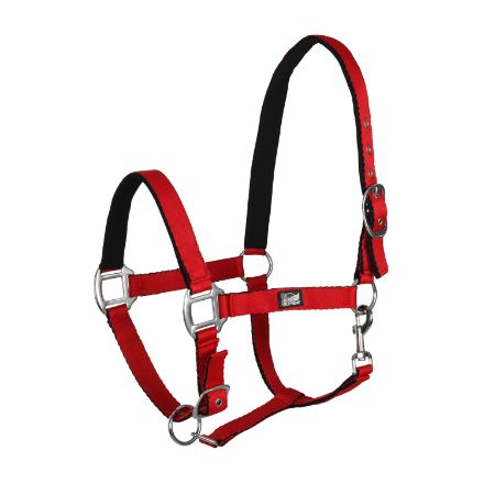 SUPREME NYLON HEADCOLLARE WITH SOFT PADDING, NOSEBAND AND UPPER LOOP