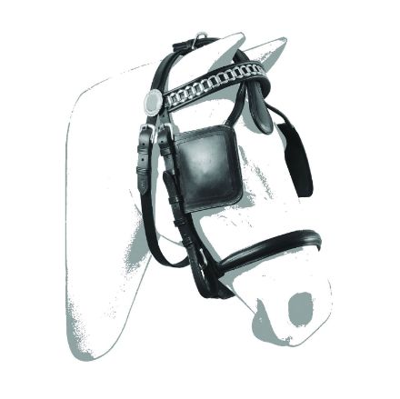 LUXURY BRIDLE FOR HARNESS
