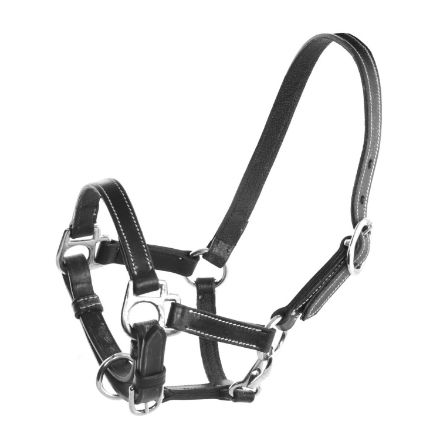 FOAL LEATHER HALTER WITH DOUBLE ADJUSTMENT