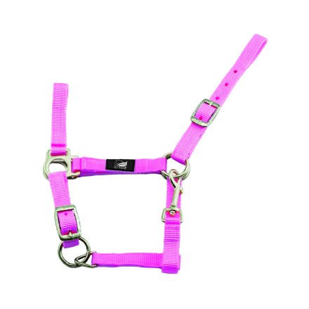 FOAL HALTER WITH DOUBLE ADJUSTMENT AND SNAP HOOK